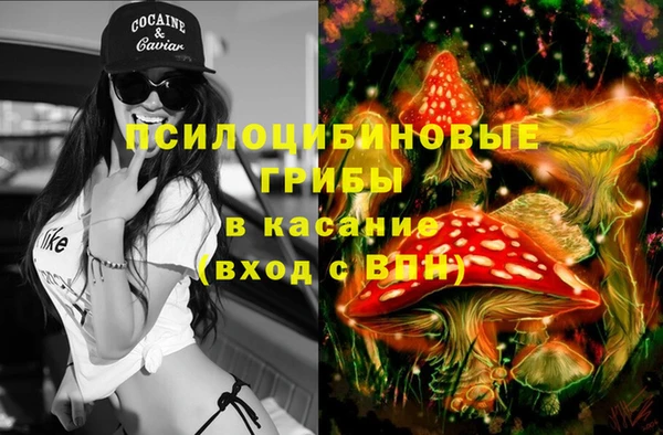 гидропоника Михайловка