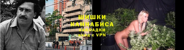 спиды Михайловск
